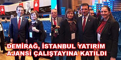DEMİRAĞ, İSTANBUL YATIRIM AJANSI ÇALIŞTAYINA KATILDI