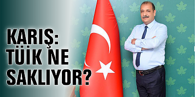 KARIŞ: TÜİK NE SAKLIYOR?