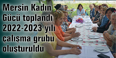 Mersin Kadın Gücü toplandı 2022-2023 yılı çalışma grubu oluşturuldu